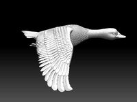 goose
