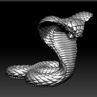 cobra