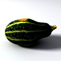 Pumpkin 3