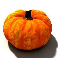 Pumpkin