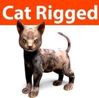 cute cat rigged