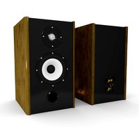 Back Surround Speaker