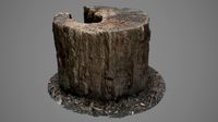 Tree Stump 3D scan