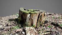 Tree Stump 3D scan