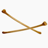 Human Fibula
