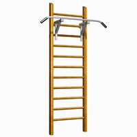 Gymnastic Ladder