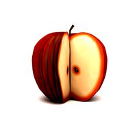 Apple Notepad