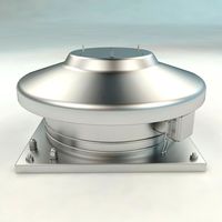 Roof Ventilation