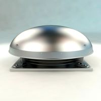 Roof Ventilation