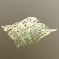 Landscape 121