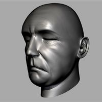 Karajan head
