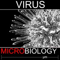 Virus