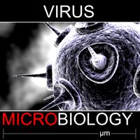 virus 23