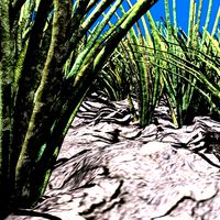 3d Grass