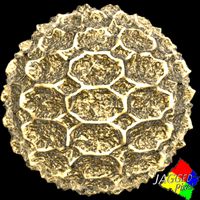 pollen 8