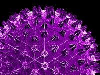 virus 6