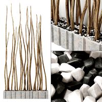 Planter branch crooked n2