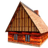 Wood and Straw Roof House