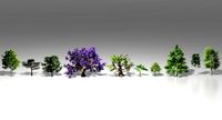 Tree pack