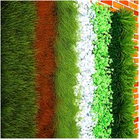 Fytowall 2