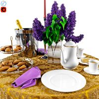 Set Dinner Table_2