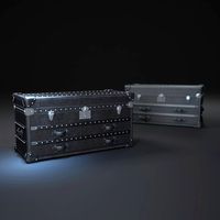 MAYFAIR-STEAMER-TRUNK-LOW-CHEST