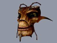 Brod Head