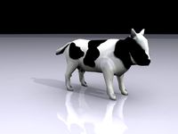 cow