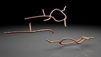 Microscopic Ebola Virus