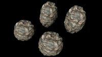 Asteroids