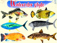 Low Poly Fish Illustration Collection Part 4
