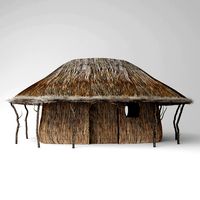 Thatch hut