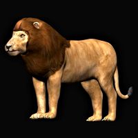Low polygon Lion
