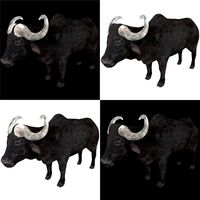Buffalo Collection