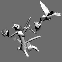HUMMING BIRDS.MAX