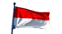 Free Animated Flag Loop