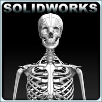 Solidworks Skeleton