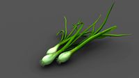 Onion Leaves