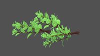 Mint Leaves