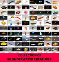 Collection of 80 underwater creatures