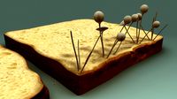 Fungus on bread