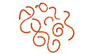 Aerobic bacteria