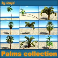 Palms collection 3D Model