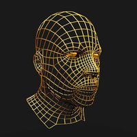 Wireframe Face