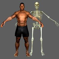 African American Male with Skeleton