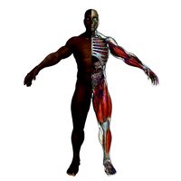 Ultimate Complete African American Male