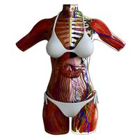 Ultimate_African_American_Female_Torso