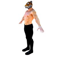 Japanese Manga Hero (Tiger Mask)