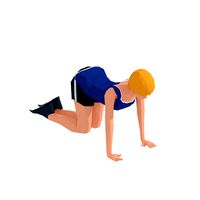 Back Stretch Exercise Woman Animation