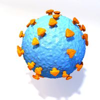 CoronaVirus Medical Model